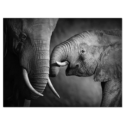Design Art Éléphants Montrant L’Affection Art Sur Toile