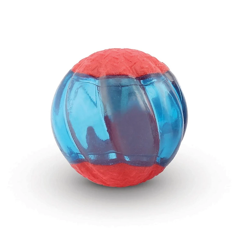 Zeus Duo Jouet Balle pour Chien avec Organe Sonore, Grand