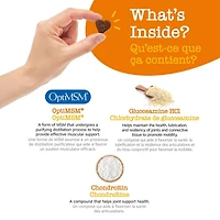 Zesty Paws Mobility Chews, supplément de saveur de canard pour chiens, 60 ct 60 Bouchées