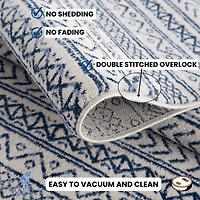 Rug Branch Havana Collection Traditional Distressed Area Rug.