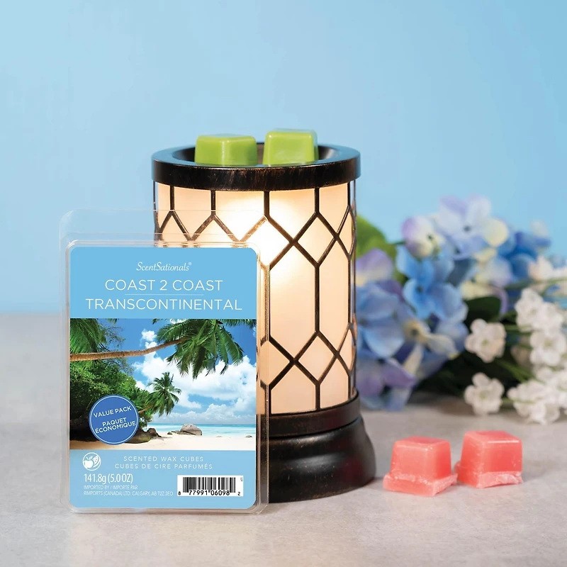 Cubes de cire parfumée ScentSationals Paquet économique - Transcontinental 5,0 fois (141,8 g)