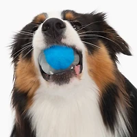 Zeus Duo Ball Dog Toy with Flashing LED, Large