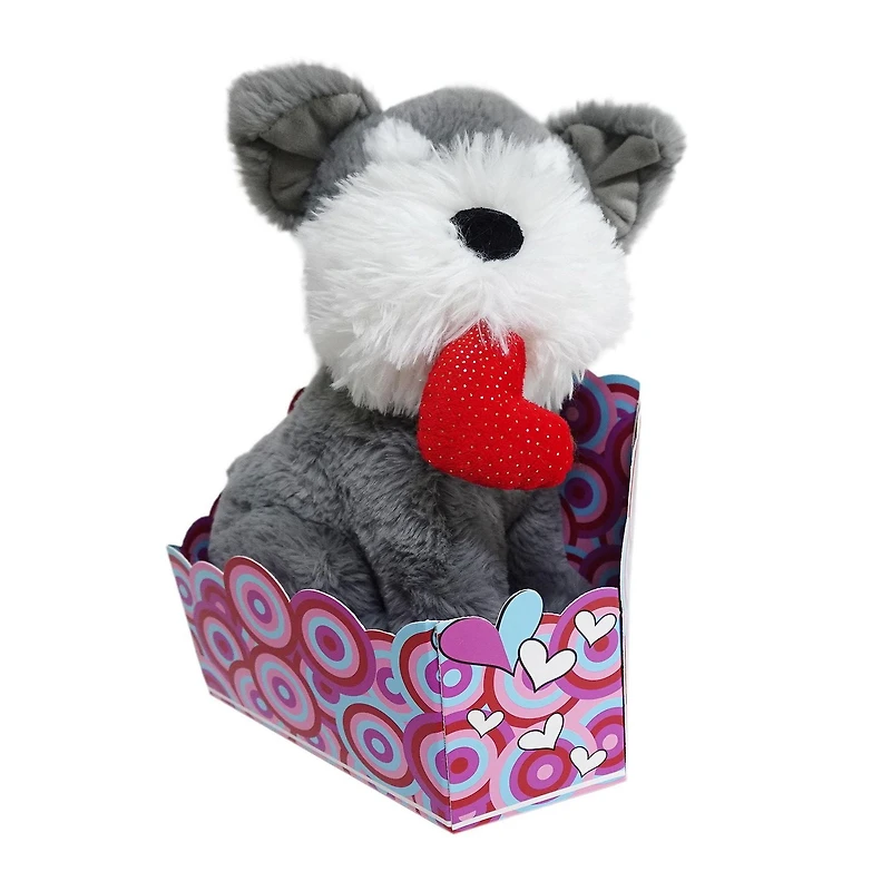 WAY TO CELEBRATE la peluche chien gris dans une boîte cadeau, 10,5 pouces