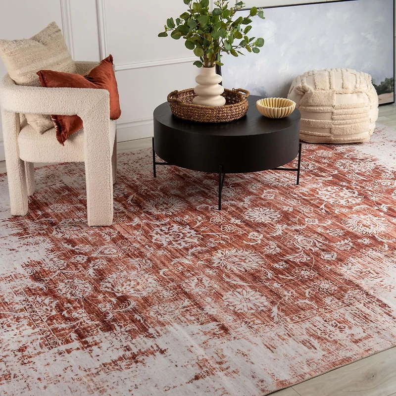 Rug Branch Emir Collection Traditional Oriental Distressed Water-Repellent Area