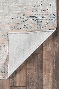 ECARPET Amber Traditional Area Rug for Living Room, Bedroom, Dining Room, Entrance, Hallway and More.