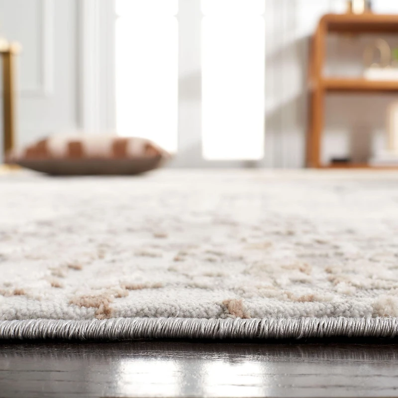 SAFAVIEH Reflection Baldric Tapis Traditionnel
