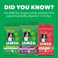 Nourriture sèche pour chiens adultes IAMS Healthy Weight avec poulet véritable