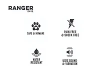 Collier anti-aboiement Ranger Zeus Petit pour chien Petit