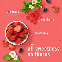 Febreze Plug In Air Freshener, Odor-Fighting Scented Oil Refill, Berry & Bramble, 2 Refills