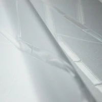 RoomMates Studio Clear Bamboo Privacy Window Film