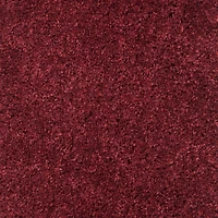 SAFAVIEH August Carlene Solid Plush Shag Area Rug