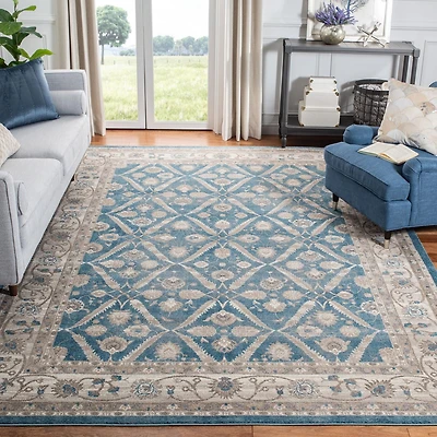 Safavieh Sofia Jerrod Floral Bordered Area Rug