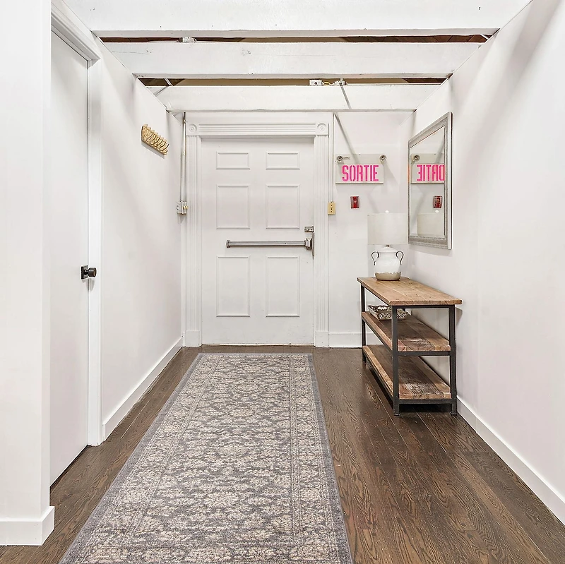 ECARPET Area Rug for Dining Room, Living Room, Bedroom Olivia Collection