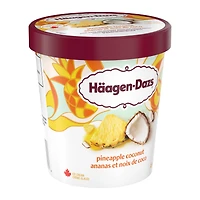 HAAGEN-DAZS Pineapple Coconut Ice Cream 450 mL
