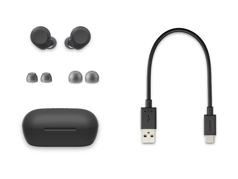 Sony WF-C710N Écouteurs sans fil à réduction de bruit - Noir