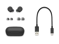 Sony WF-C710N Écouteurs sans fil à réduction de bruit - Noir