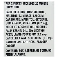 Dentyne Ice Intense, gomme sans sucre, 4 paquets (12 morceaux par paquet) 48 comptes