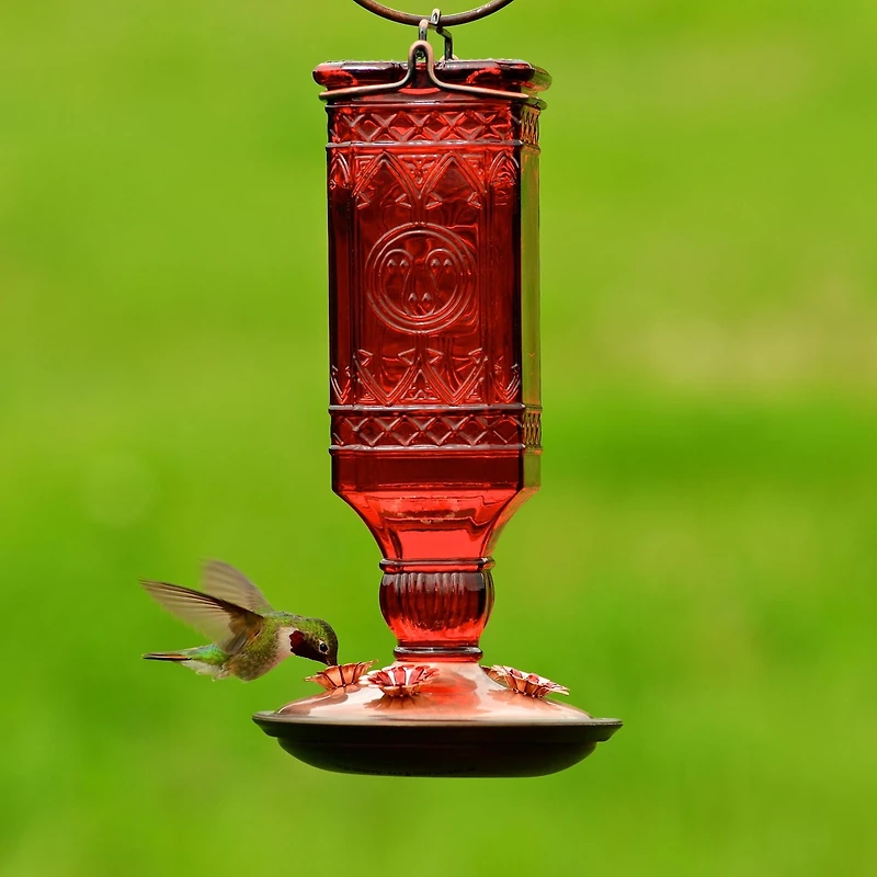 Perky-Pet Red Square Antique Bottle Glass Hummingbird Feeder