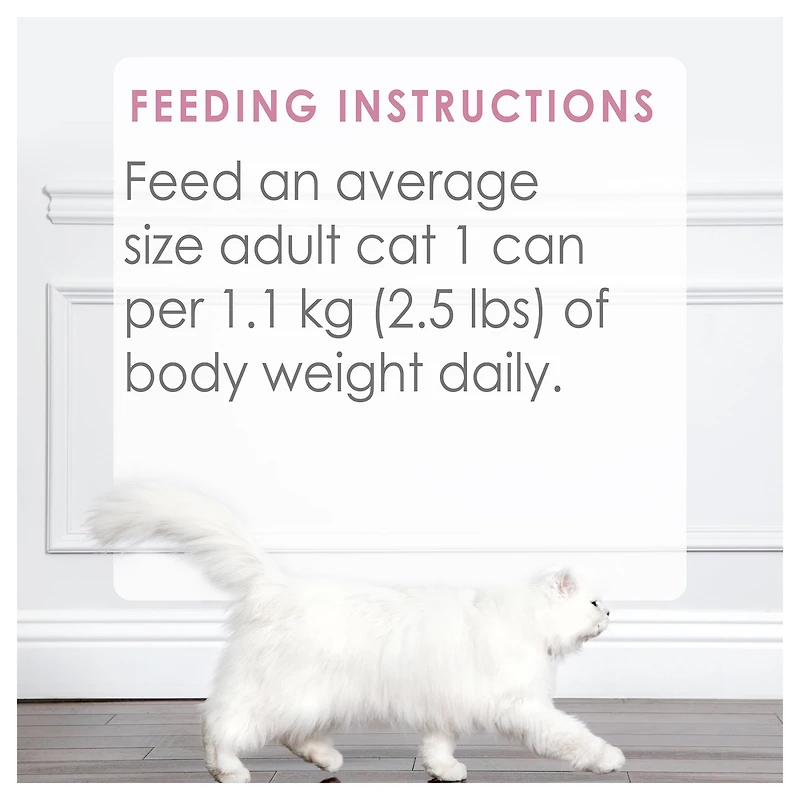 Fancy Feast Medleys Saumon Sauvage Primavera dans une Bouillon Velouté, Nourriture Humide pour Chats 85 g