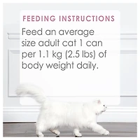 Fancy Feast Medleys Saumon Sauvage Primavera dans une Bouillon Velouté, Nourriture Humide pour Chats 85 g
