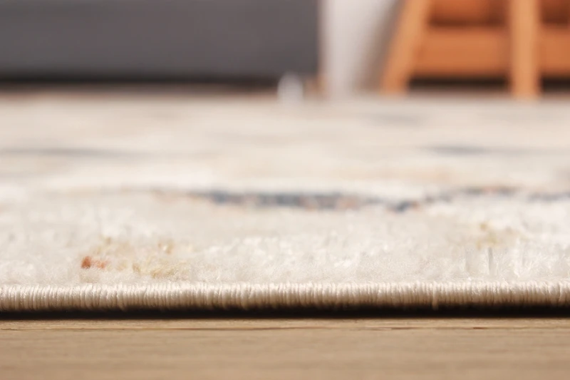 ECARPET Rosette Contemporary/Modern Area Rug for Living Room, Bedroom, Dining Room, Entrance, Hallway and More.