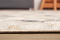ECARPET Rosette Contemporary/Modern Area Rug for Living Room, Bedroom, Dining Room, Entrance, Hallway and More.