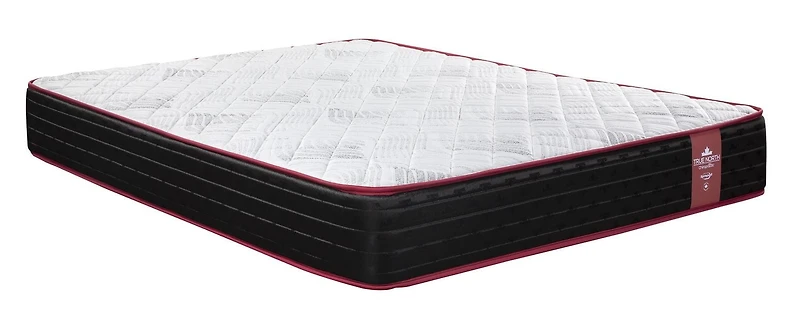 Luxury Evy Euro Top Firm Springwall - Canadian Locally Made - 14.5" Extra Large Height - Pocket Coil & Bio Comfort Luxury Foam