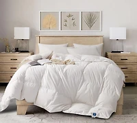 Royal Elite 400TC All Seasons Hungarian White Goose down Duvet
