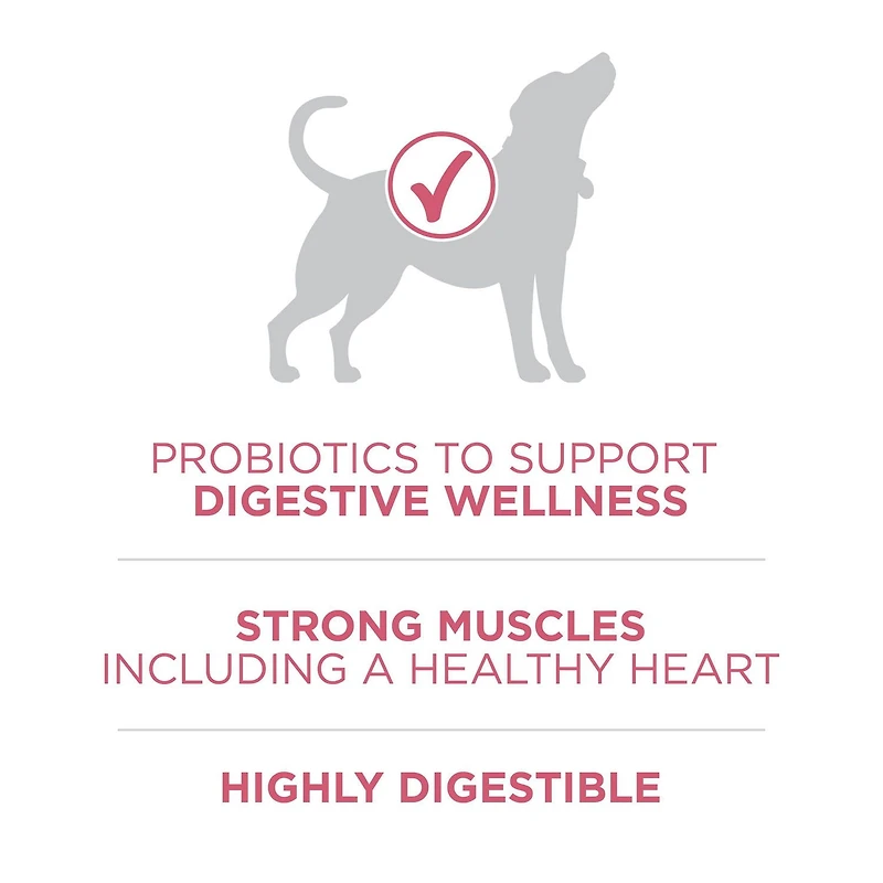 Purina ONE SmartBlend Digestive Health Formula Chicken, Dry Dog Food, 5.4-9.5 kg
