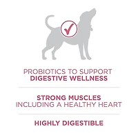 Purina ONE SmartBlend Digestive Health Formula Chicken, Dry Dog Food, 5.4-9.5 kg