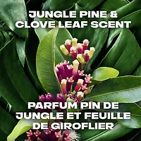 Nettoyant Pour le Corps AXE Pin de Jungle et Eucalyptus