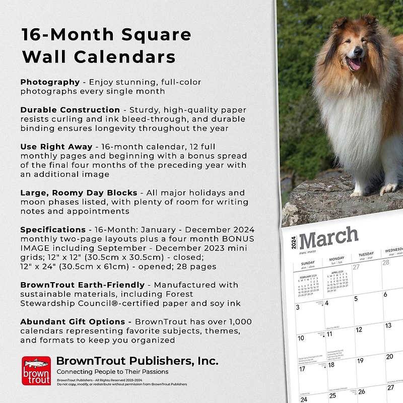 BrownTrout Collies 2024 12x24 Inch Square Wall Calendar, 9781975462406