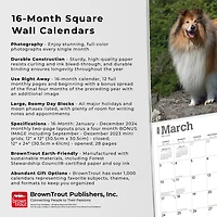 BrownTrout Collies 2024 12x24 Inch Square Wall Calendar, 9781975462406