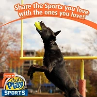 Hartz Dura Play Sports Ball Football Dog Toy, Dura Play Football