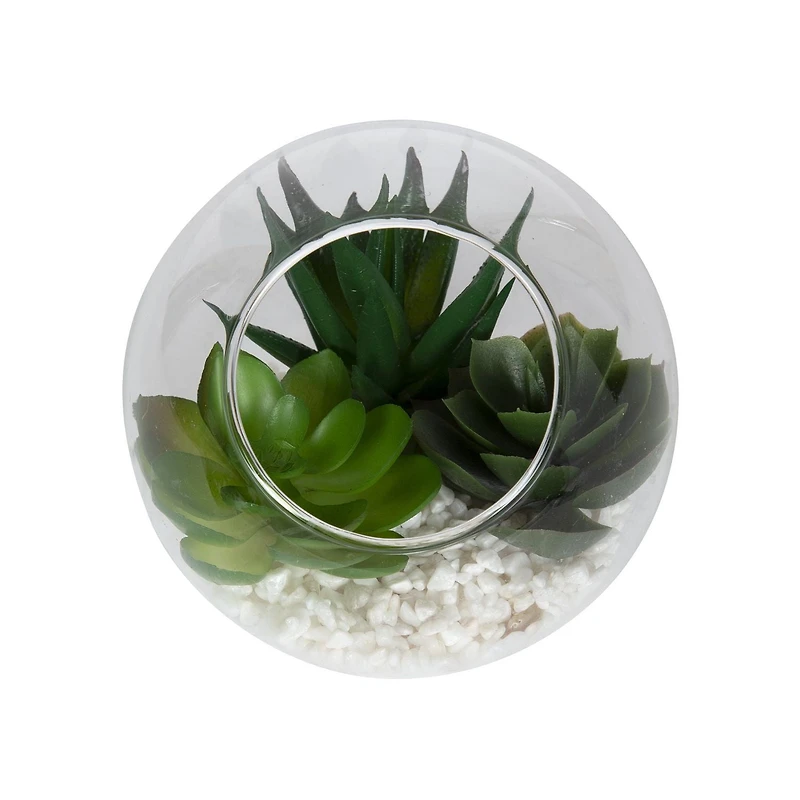 DesignOvation 3.75"H Angled Glass Globe Succulent Terrarium, 3.81in W x 3.75in H x 3.81 in D