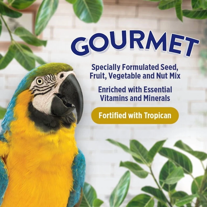 HARI Gourmet Premium Bird Seed Mix for Large Parrots, 1.8 kg