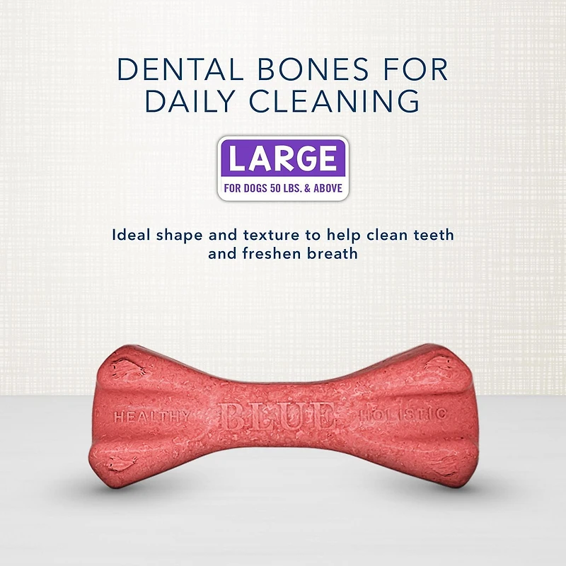 BLUE Bones os dentaires pour chiens grand