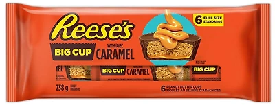 Emballage de 6 GRANDS MOULES REESE’S avec Caramel 238g 238g