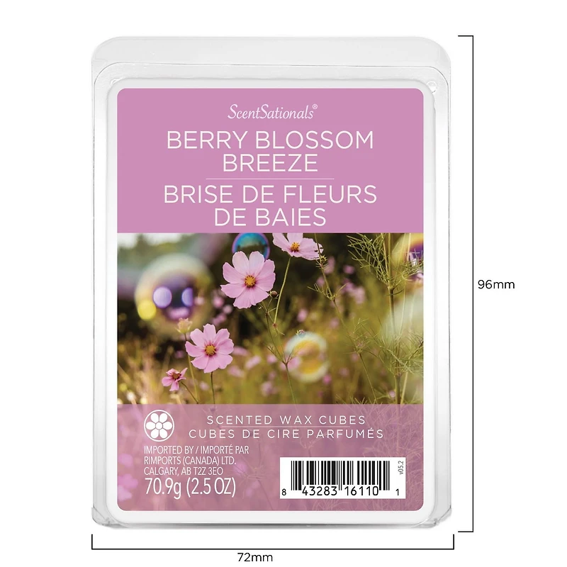 ScentSationals, Cubes de cire parfumés - Brise de fleurs de baies