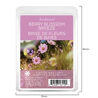 ScentSationals, Cubes de cire parfumés - Brise de fleurs de baies