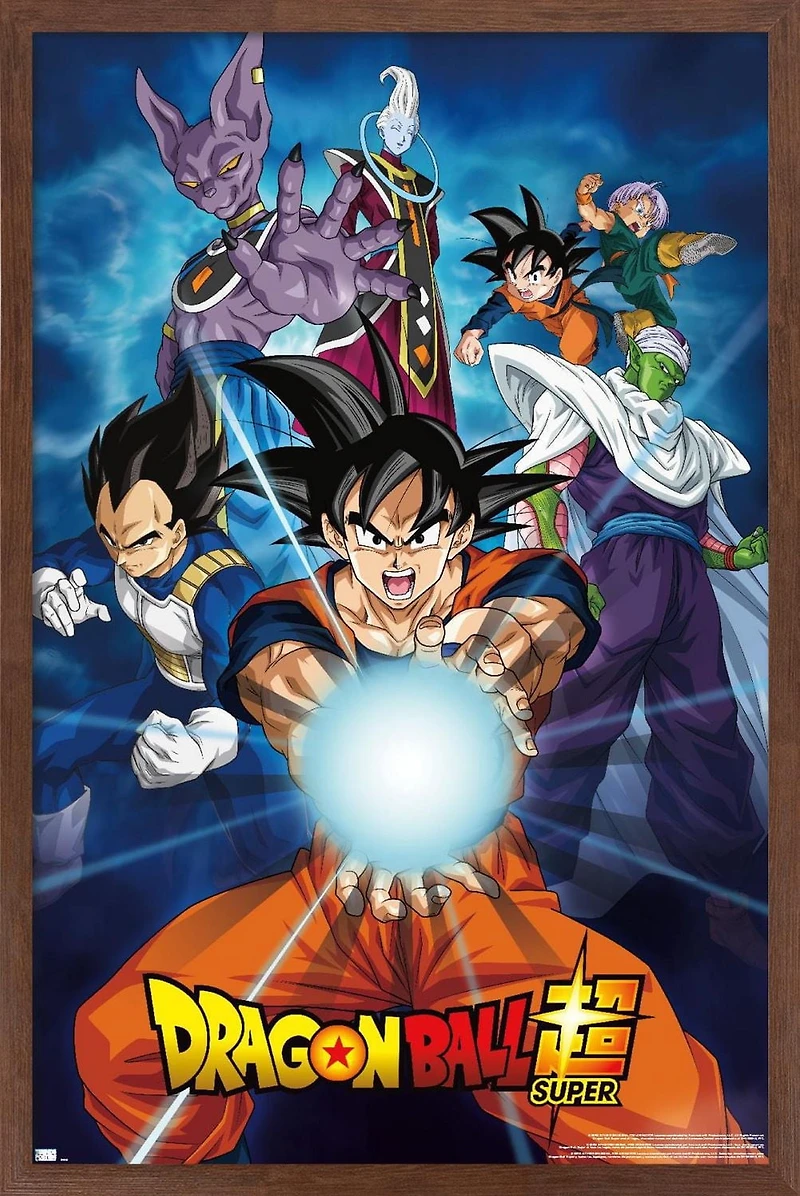 Dragon Ball Super