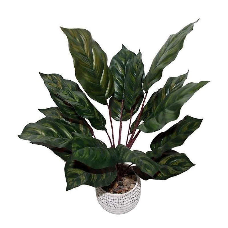 Plante en pot feuille sombre de Lerman Decor