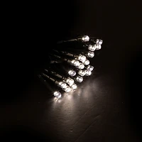 Holiday Time 20 5MM Battery Operated LED String Light, Multicolor, 20 5MM B/O LED STRING LIGHT
