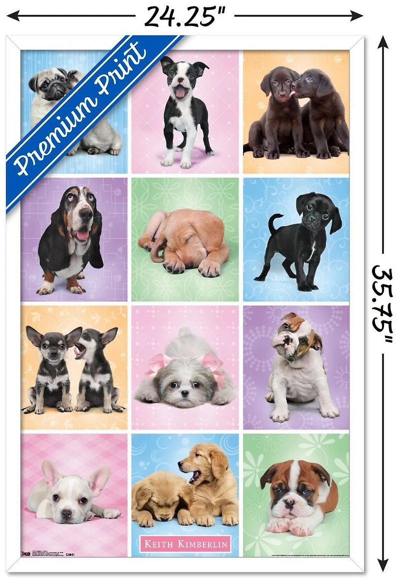 Keith Kimberlin - Puppies - Cuties Grid Wall Poster