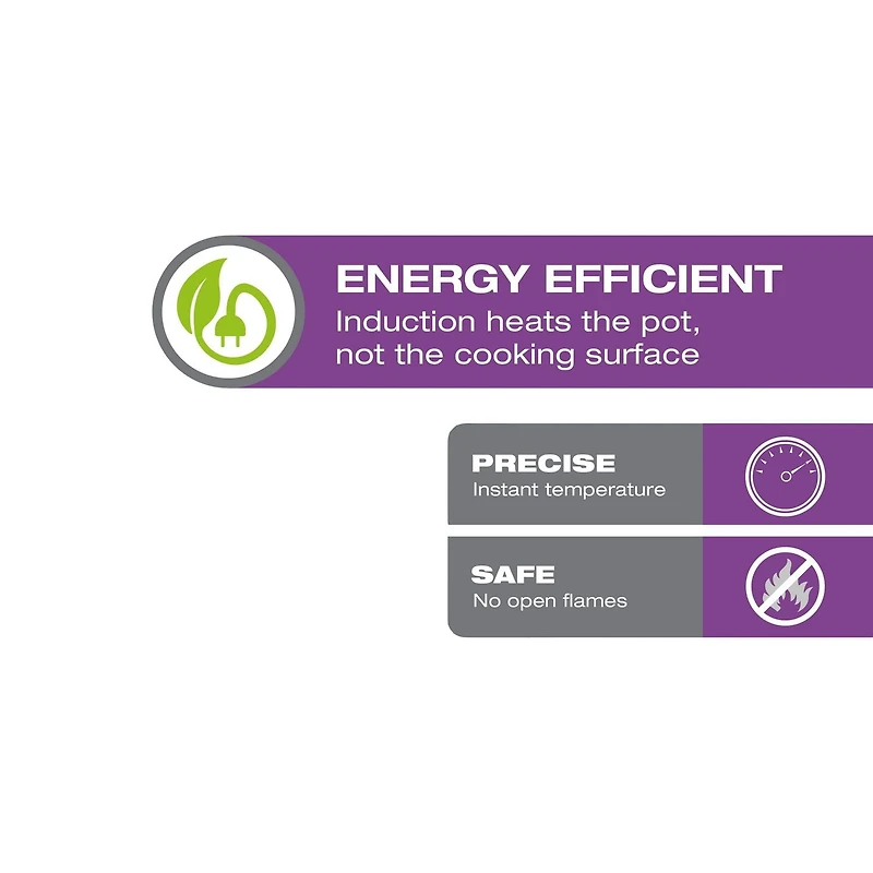 Salton Portable Induction Cooktop ID2113