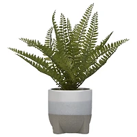 Bouclair Artificial Fern in Two-Tone Ceramic Pot