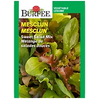 Burpee Mélange de Salade Sucrée Heir - Mesclun