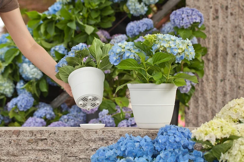 Pot de fleurs Mainstays Basic Bell 30 cm, blanc, design classique avec soucoupe intégrée, résistant aux intempéries. cloche blanc 12 po plateau. Durable, léger et