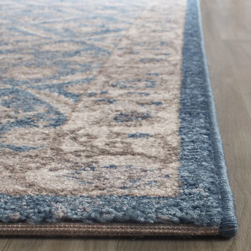 Safavieh Sofia Jerrod Floral Bordered Area Rug