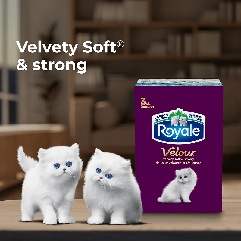 Mouchoirs Royale Velour, 12 boîtes, 82 mouchoirs par boîte